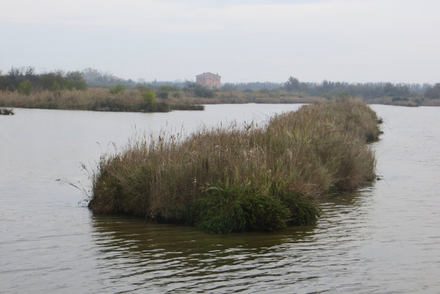 oasi di cannaviè percorso