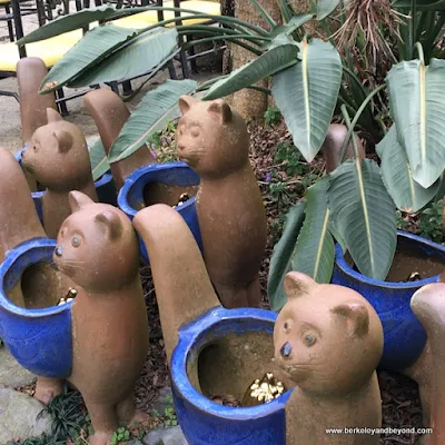 garden decor cat pots at Full House Restaurant at Sun Moon Lake in Taiwan