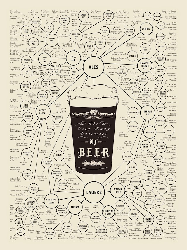 Infographie sur les styles de bières