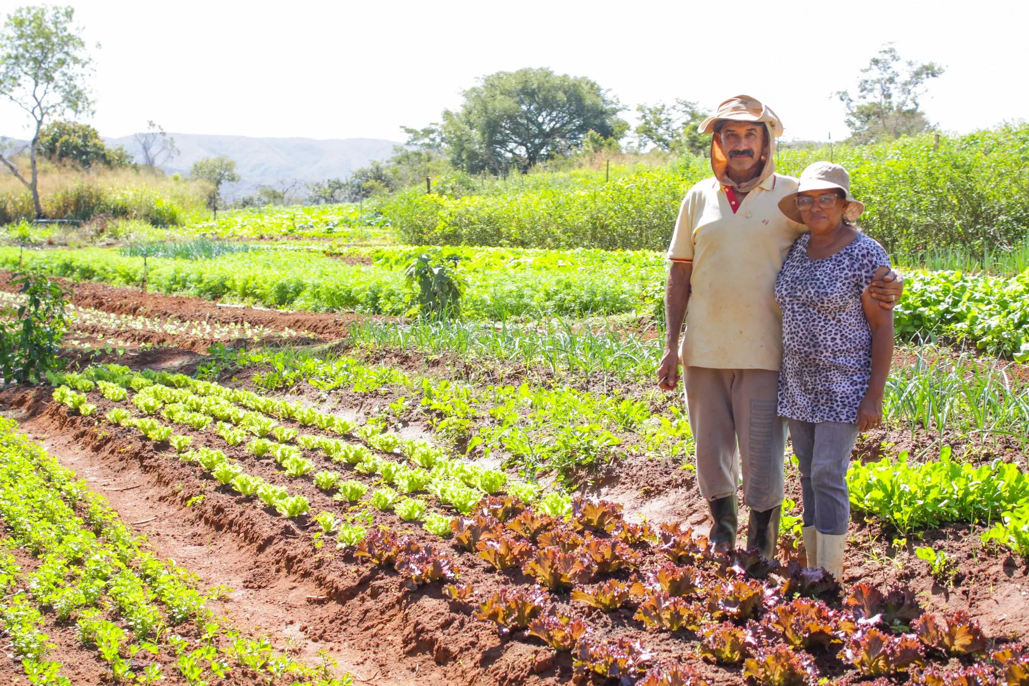 A produção agrícola de núcleos familiares também é fonte das cestas verdes entregues às famílias em situação de vulnerabilidade | Foto: Tony Oliveira/Agência Brasília