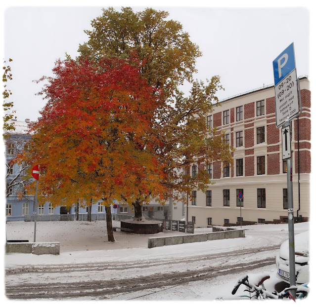 Rodes plass på Rodeløkka i Bydel Grünerløkka i Oslo.