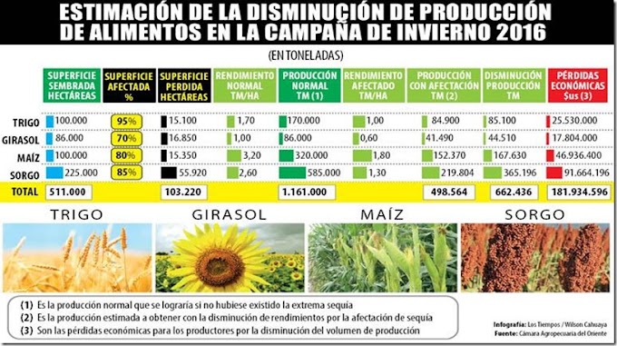 Sequía hace estragos en el agro boliviano: 103 mil Ha perdidas