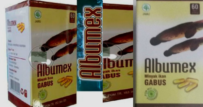 Harga Albumex minyak ikan gabus