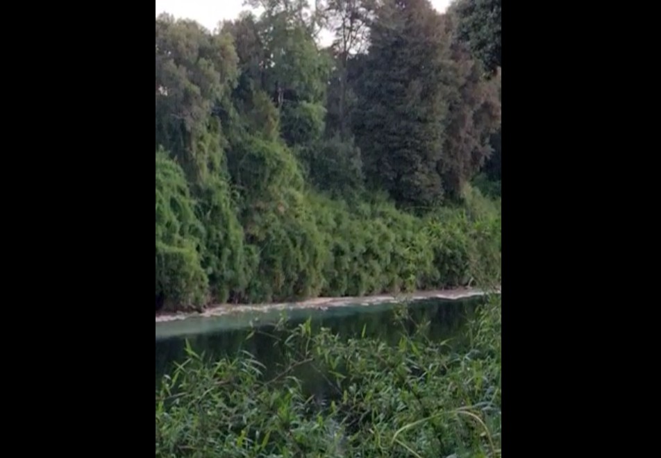 Contaminación en el río Rahue (vídeo)