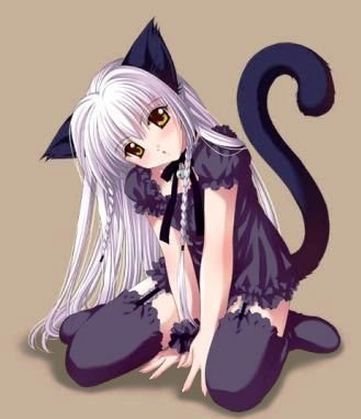 pictures of anime cats. Kawaii Anime Cats-lolcats