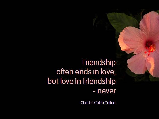 Best Friendship Quotes