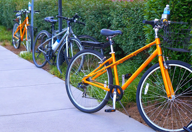 bicycles, knoxville tn, calhoun's turkey creek