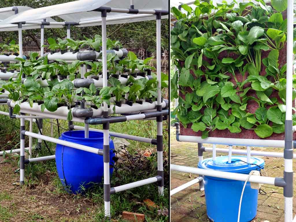 Model Rak Untuk Tanaman Hias Ragam Tanaman Model Rak Untuk Tanaman Hias Ragam Tanaman