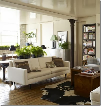 neutral-furniture-living-room-with-plant