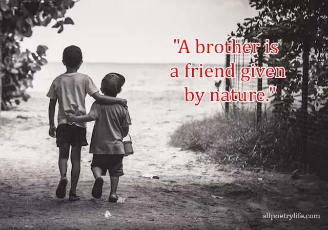 brother quotes, brother love quotes, brother captions for instagram, big brother quotes, heart touching lines for brother, brother and sister quotes, brother sister quotes, siblings quotes, brother sister love quotes, brother from another mother quotes, brother caption, best brother quotes, caption for brother love, heart touching emotional brother and sister quotes, brother status, brother and sister status, little brother quotes, brother and sister love quotes, bhai quotes, bro sis quotes, brother sister bond quotes, siblings love quotes, younger brother quotes, bro and sis quotes, brother sister quotes for instagram, brother sister funny quotes, missing brother quotes, caption for brother and sister post, miss you brother quotes, elder brother quotes, caption for brother sister bond, miss you brother, best one word caption for brother, my brother quotes, not brother by blood but brother by heart, best caption for brother funny brother and sister quotes, brother sister relationship quotes, instagram captions for brother and sister pictures, friend like brother quotes, bro sis love quotes, funny brother quotes, cousin brother quotes, caption for big brother, brother and sister love status quotes about brother and sister relationship, brother in law quotes, brothers quotes for instagram, caption for siblings,