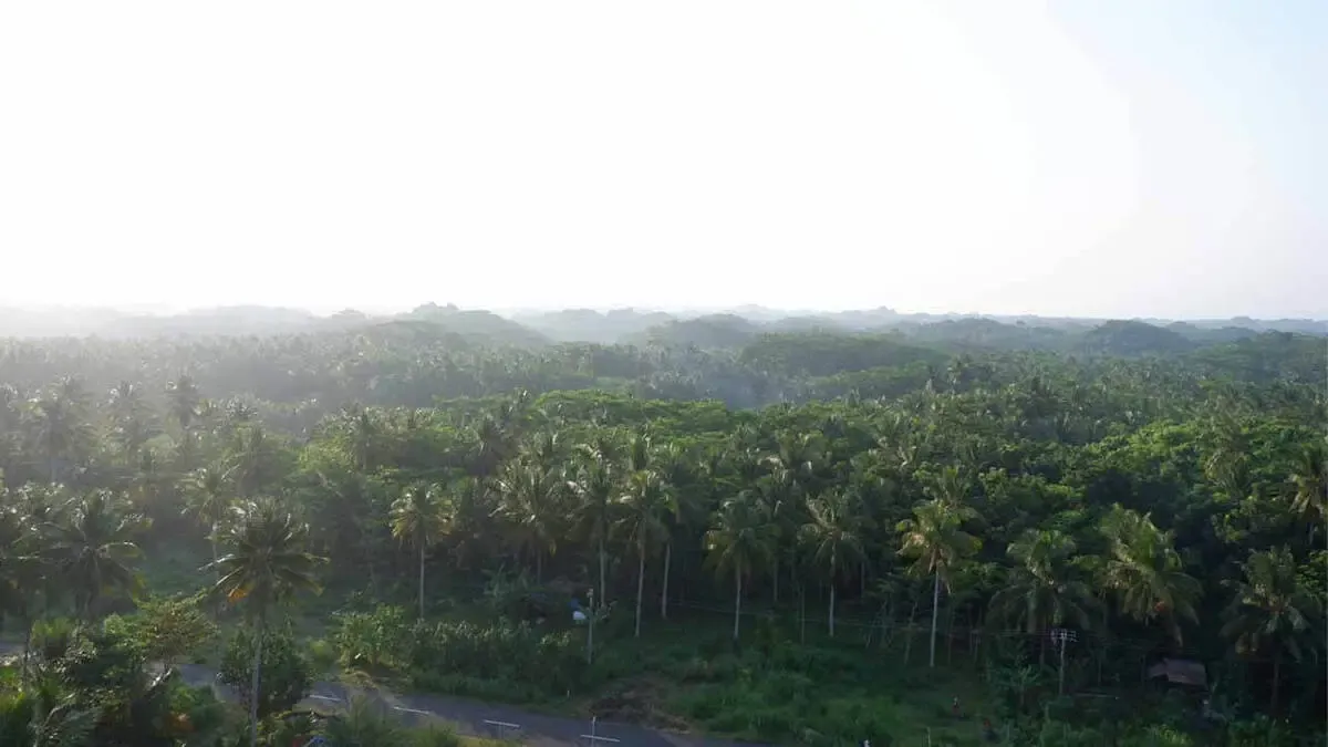 Pemandangan Mercusuar Legok Jawa