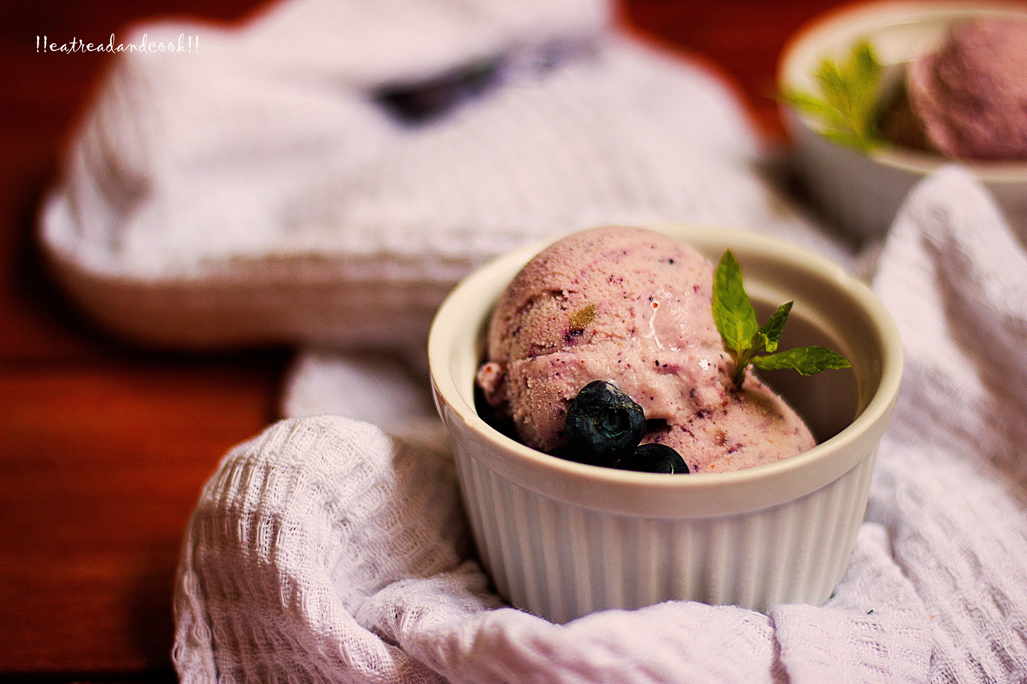 how to make Blueberry Frozen Yogurt recipe and preparation