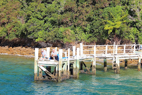 Mailboat Cruise Picton New Zealand