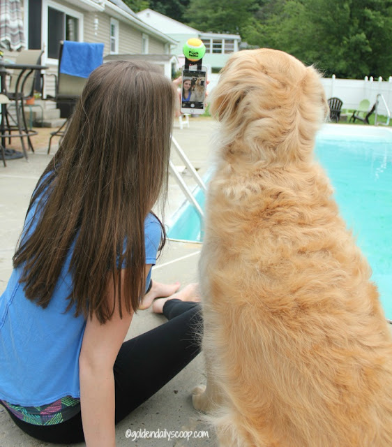 teenage girl taking selfie with golden retriever dog using the pooch selfie