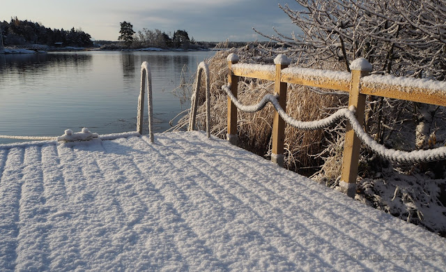 lingonberryhouse, ensilumi, first snow, winter, talvi