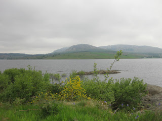 View of  Clatteringshaws Loch with distant mountains, Clatteringshaws, Scotland