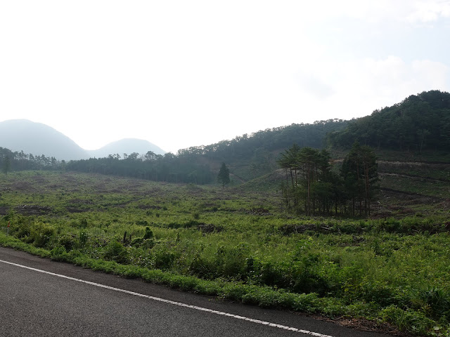 香取草谷展望駐車場に行く途中の鳥取県道314号赤松大山線沿いの風景