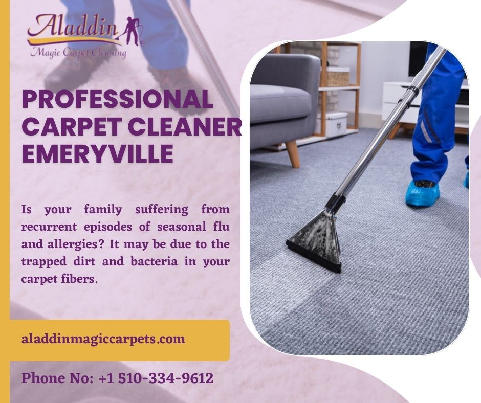 Aladdin Magic Carpet Cleaning