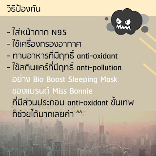 ฝุ่น-PM-2.5-Antipollution