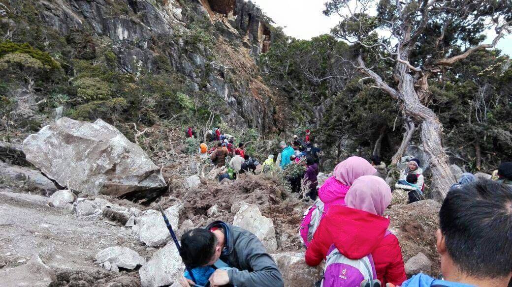 Tragedi gempa bumi di gunung kinabalu 05062015  Mabuk 