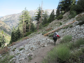 Descending Icehouse Canyon