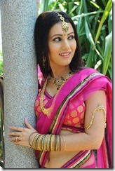 Anu Smruthi hot Photos in half saree at Heroine Movie launch