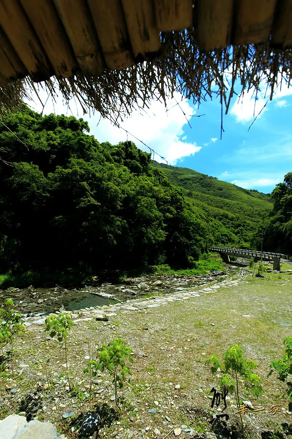 蝴蝶谷｜台東延平鄉景點