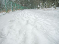 パークウェイ駐車場からの道の積雪