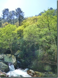 P1020467