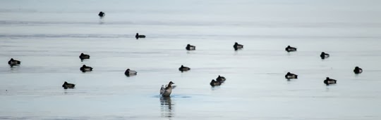 20131123-_MG_2056