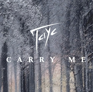(Afro Pop) Carry Me - Tayc (2023) 