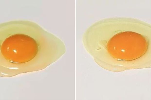 Yang mana satu bukan telur mentah sebenar? 