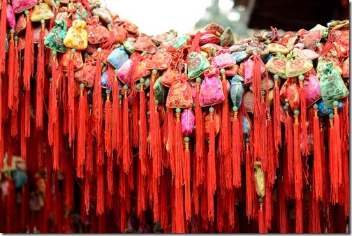 DSC_6999LR_Chengdu