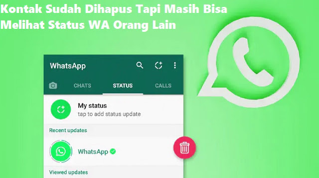 Kontak Sudah Dihapus Tapi Masih Bisa Melihat Status WA Orang Lain