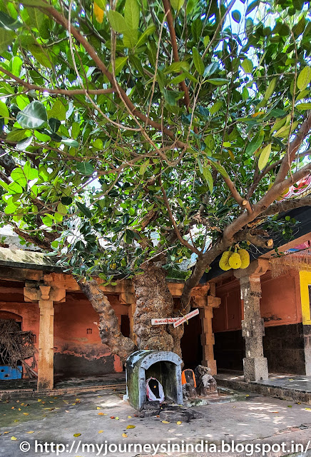 Thiruveezhimizhalai Veezhinathar Temple