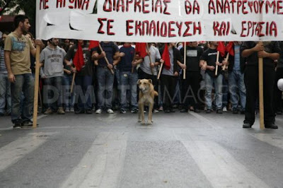 The Return of the Riot Dog Seen On www.coolpicturegallery.us