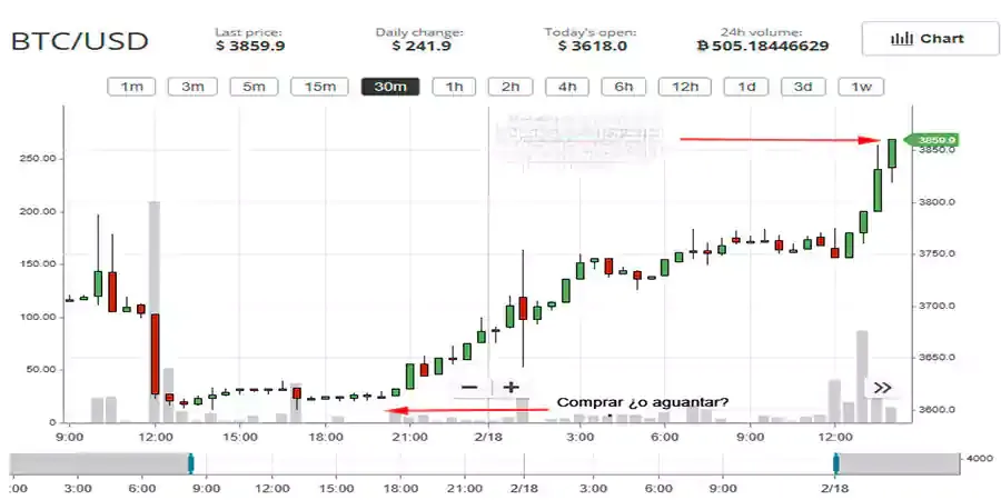 13. Earn money with Cryptocurrency Trading