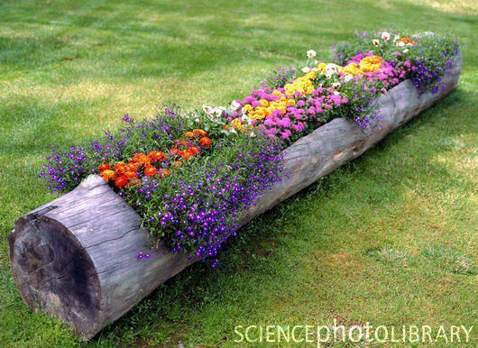 Creative Flower Garden Ideas