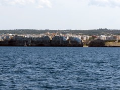 IMG_6282