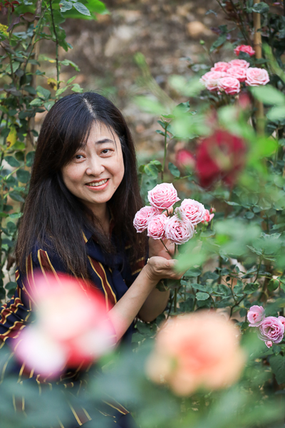 櫻花鳥森林蜀葵花季漫步蜀葵花海步道拍美照，鸚鵡放飛秀好有趣