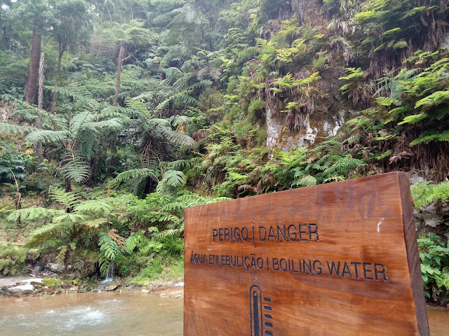 Jurassic World looking environment around one of the thermal baths on the Island of Sao Miguel - Azores