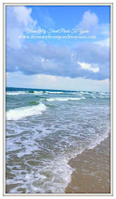 Cape San Blas, Florida-The Forgotten Coast- From My Front Porch To Yours