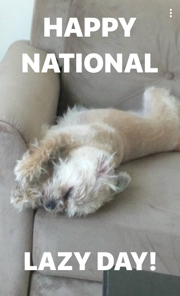 National Lazy Day