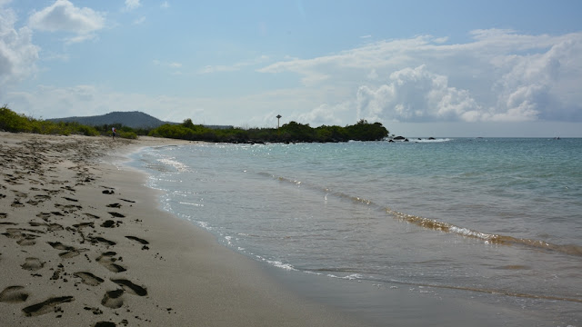 Floreana Post Office Bay