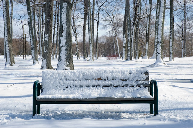 A lonely, snow-covered bench in winter.