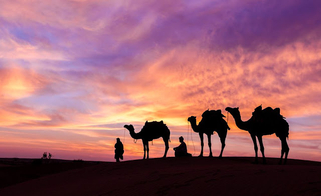   Evening Desert Safari 