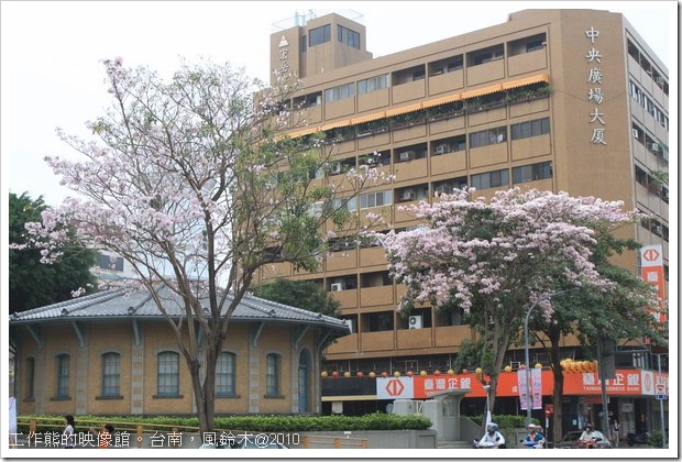Tabebuia-impetiginosa02