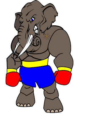 custom graphic elephant with muay thai shorts and boxing gloves 