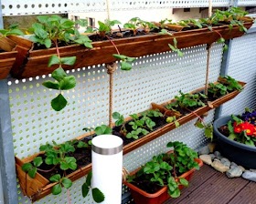 6 Great DIY Spring Ideas for Your Garden