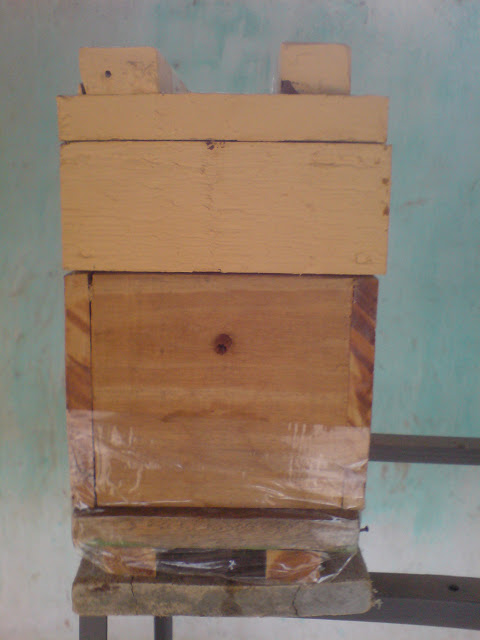 Cara Membuat Sarang Buatan pada Budidaya Lebah Trigona ...